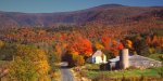 view from back road.jpg