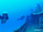 the Sea Tiger.jpg