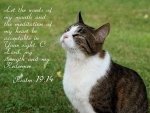 Psalm 19v14.jpg