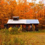 Sugar shack, Manchester.jpg