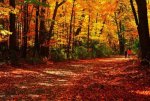Talk About Color.jpg