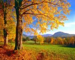 vermont.jpg