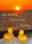 Lucky Ducky.jpg