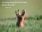 LeteverythingthathasbreathpraisetheLordPsalm150_6.jpg