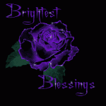 0 Brightest Blessing Purple Rose..gif 0 Brightest Blessing Purple Rose..gif