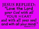 Jesus-replied-Love-the-Lord-your-God-with-all-your-heart-and-with-all-your-soul-and-with-all-you.jpg