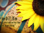 Christian-Wallpapers-Free-John-10-27-28.jpg