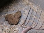 In My Kitchen Garden - Manure Heart.JPG
