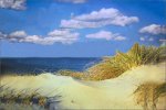 Cape_Cod_Sand_Dune.jpg