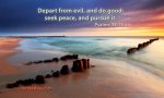 1001-PSA034014ENGKJV08000480ISP13201703000.jpg
