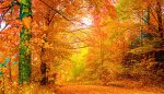 vermont-autumn.jpg