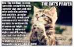 the cat's prayer.jpg