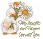 In Prayers.jpg