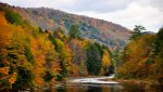vermont foliage.jpg