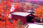 covered bridge and foliage.jpg