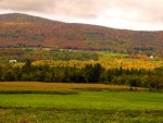 Vermont_foliage.jpg
