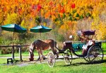 Vt-Foliage-_Oct112011_12351.jpg