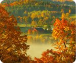 VTfallfoliage (2).jpg