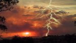 Nature-Photography-Wildlife-Lightning.jpg