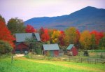 vermont_foliage_sm.jpg