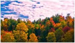Vermont+10-2-2012-92-2-2151495663.jpg
