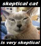 skepticalcat.png