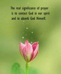 real-prayer-touch-god-absorb-him.jpg