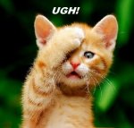 MONDAY0.jpg