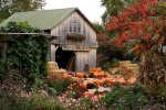 cider mill in Swanton.jpg