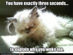 Why You Woke Me.jpg