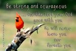 Deuteronomy 31v6.jpg
