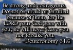 Deuteronomy 31v6-1.jpg