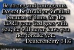 Deuteronomy 31v6-1.jpg