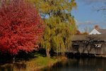 Shelburne.jpg