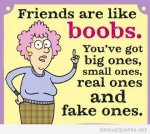Friends Are Like Boobs.jpg