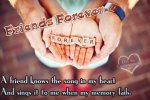 Friends Forever (2).jpg