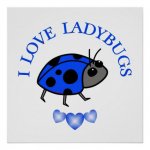 I Love Ladybugs.jpg