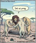 Prey-ing Lions.jpg