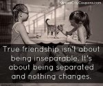Friendship Never Changes.jpg