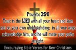 Proverbs 3v5-6 (2).jpg