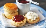 scones_intro1_1989462b.jpg scones_intro1_1989462b.jpg