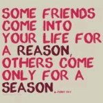 Reason & Season.jpg