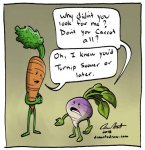 turnip eventually.jpg