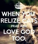 when-you-relize-cats-pray-and-love-god-too.jpg