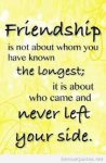 True Friends Never Leave.jpg