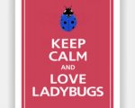 love ladybugs.jpg