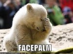 facepalm-icebear.jpg