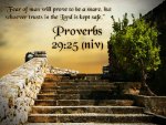 Proverbs 29v25.jpg