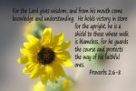 Psalm 2v6-8.jpg