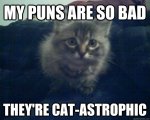 Cat-astrophic Puns.jpg